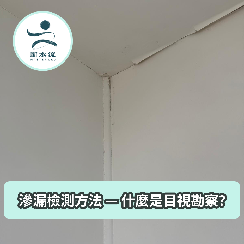 滲漏檢測方法 — 什麼是目視勘察？